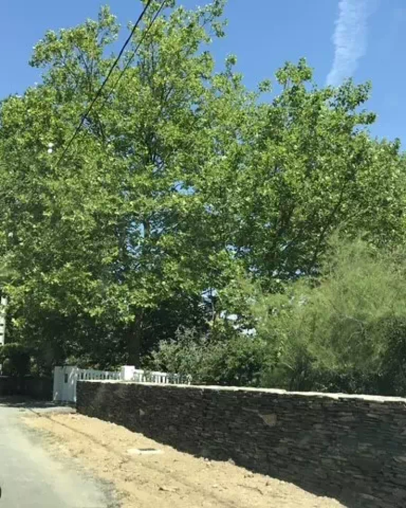 Réalisation d'un muret par EURL MASSÉ PASCAL à Brissac-Loire-Aubance